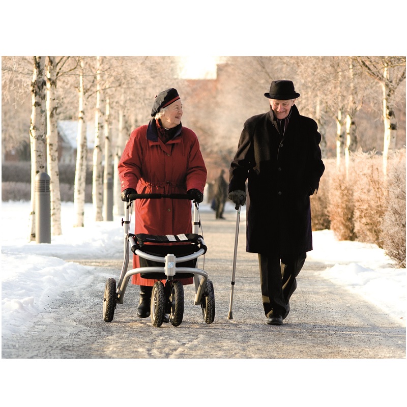 Trionic VELOPED SPORT 14er Premium Rollator mit 36 cm Rädern - New Edition
